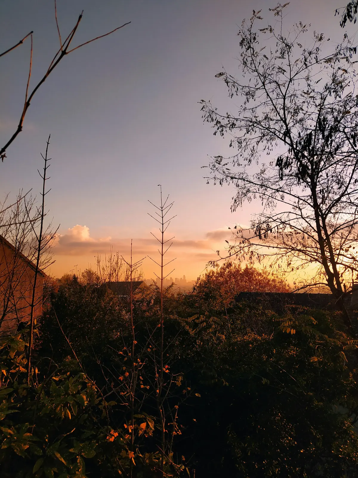 Vue depuis les coteaux d’Argenteuil, la Défense à l’horizon (photo Elsa Assindo, Unsplash)