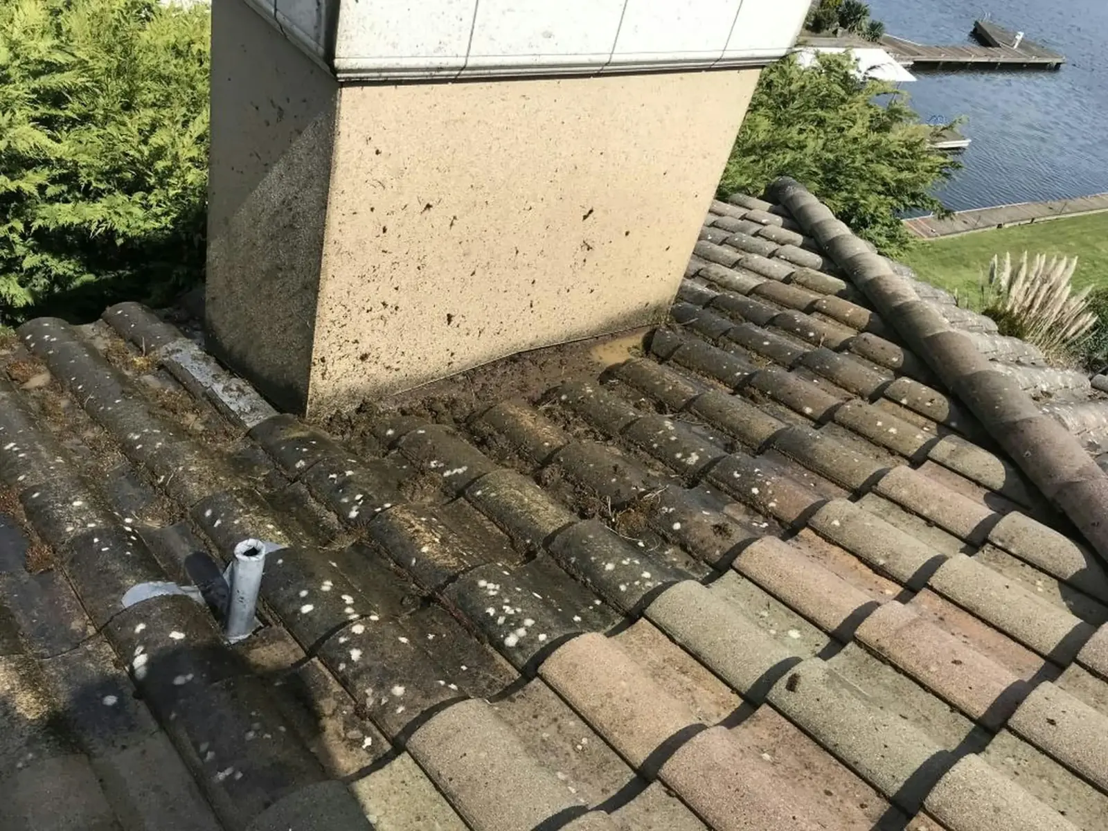 Tuiles couvertes de mousse et de lichens près d’une cheminée